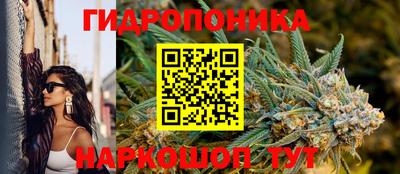 apvp Ипатово