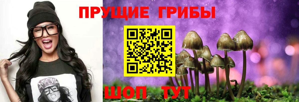 Псилоцибиновые грибы GOLDEN TEACHER Ликино-Дулёво
