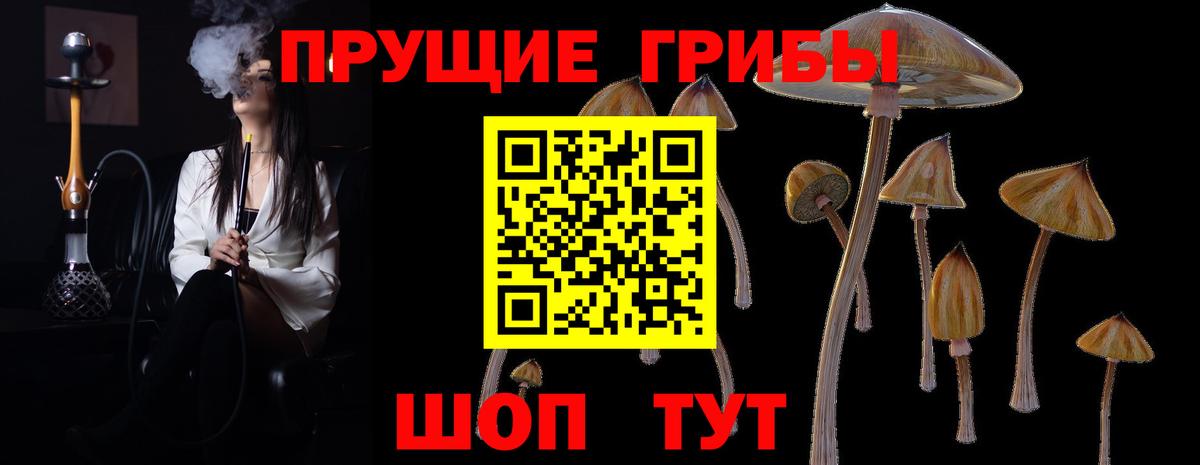 Галлюциногенные грибы Psilocybine cubensis  Вход с VPN  дарнет шоп  Ликино-Дулёво  Псилоцибиновые грибы прущие грибы 
